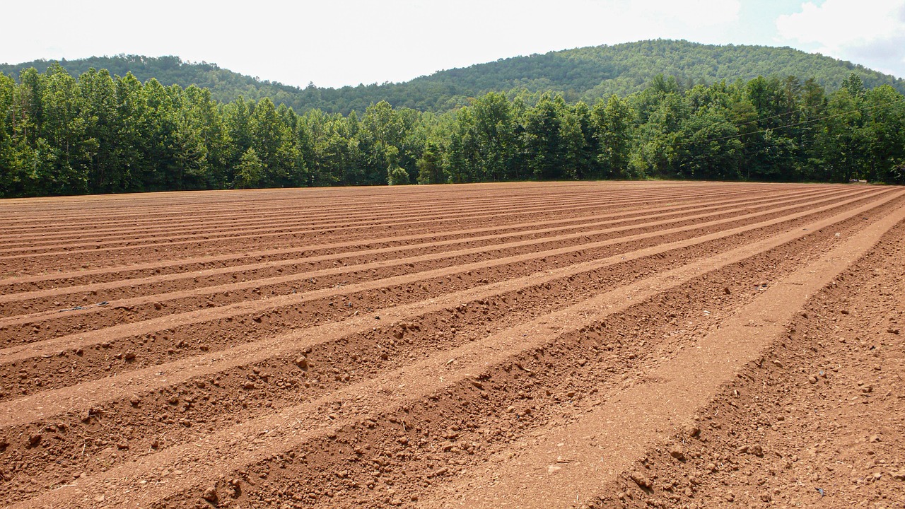 soil testing agronomy