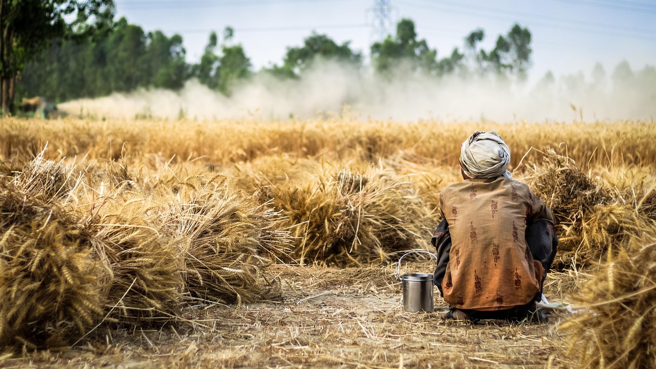 farmers meeting field